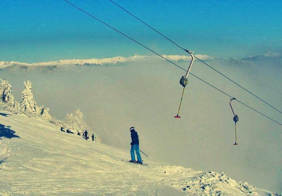 Apartma Alpski Vrt Vojsko 外观 照片